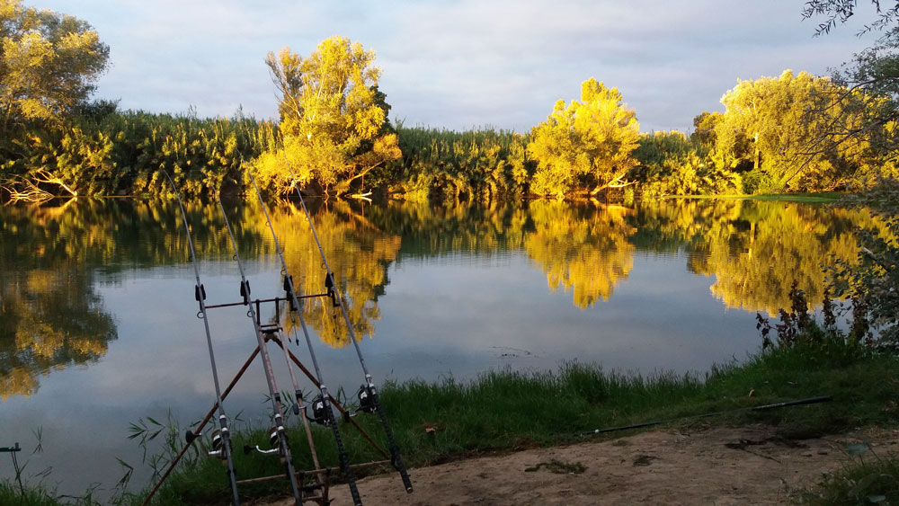 Clasificaci&oacute;n 1&ordf; jornada Campeonato Navarro Grandes Peces